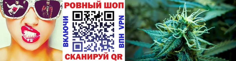 Какие есть наркотики Новороссийск Каннабис  A PVP  ГАШИШ  Амфетамин  COCAIN  Меф 