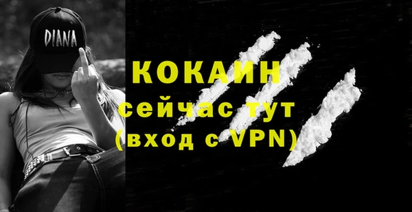 первитин Богданович
