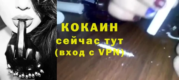 первитин Богданович