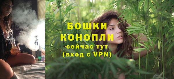 сатива Богородск