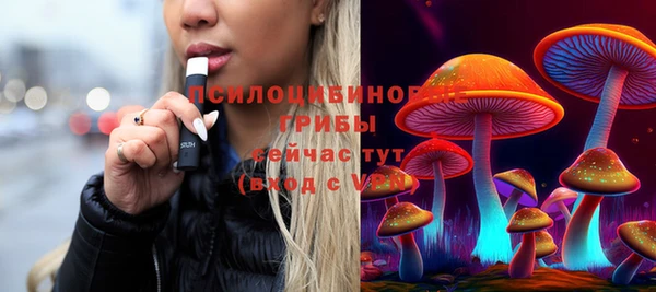 меф Богородицк