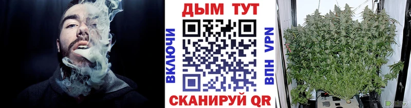 Марихуана конопля Новороссийск